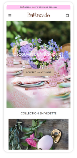 Portfolio Slide - SLASHCART-Shopify Plus Preferred Expert